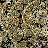 Quilt Backing Samsara Paisley Black