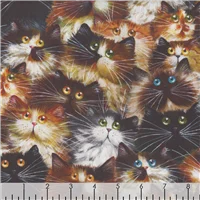 Quilt Backing 43990 2 Cat Faces