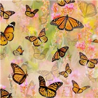 Butterfly With Pink Flowers Mariposa