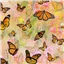 Butterfly With Pink Flowers Mariposa