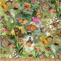 Butterfly Caterpillar Ladybird Meadows