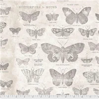 Butterfly Tim Holtz Parchment