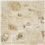 Words Leonardo Davinci Natural