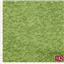 Scenes 94390 4 Green Grass