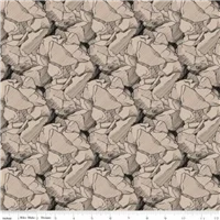 Scenes Caterpillar Shapes Natural Rocks