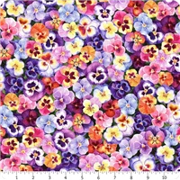 Flowers Pansies Pansy 5482 437