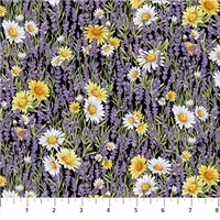 Flowers Lavender Market Daisy Lavender