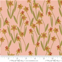 Flowers Darling Daffodils Rose