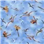 Children Giants Pterodactyl Sky