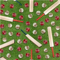 Children Cricket Season Bat Ball