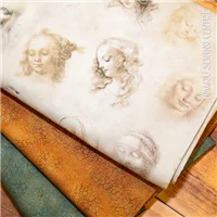 Crackle Leonardo Da Vinci