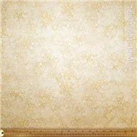 Backing 84 Cream Phantasma