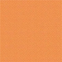 Dots R&B Studio Finch and Fern Orange