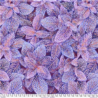 Kaffe Fassett Fittonia PJ 129