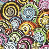 Philip Jacobs 073 Spiral Shells