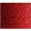 Gypsy Soul Ombre Print Brick Red Pk Ombre Prt