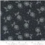 Metallic Whisper Silver Crazy Daisy