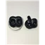 Nose Black 16 by 20 Bear Dog