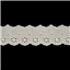 Lace Cambric Eyelet 50mm Cream