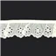 Lace Cambric Frilled 40mm Cream