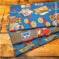 Children Hot Wheels