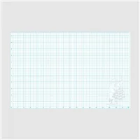 Template Plastic Grid S110 Each