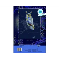Collection D'Art Cross Stitch Kit Night Watch