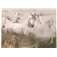 Patchwork Panel Misty White Five Horses