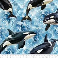 Animals 79400 113 Whales