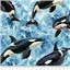 Animals 79400 113 Whales