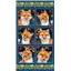 Patchwork Panel Auburn Fox