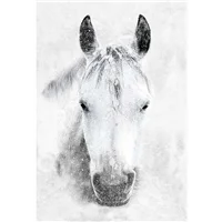 Patchwork Panel Grey Horse On White