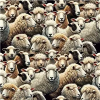Animals 81910 6 Farmyard Sheep