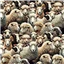 Animals 81910 6 Farmyard Sheep