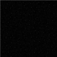 Animal Cat and Mouse Black
