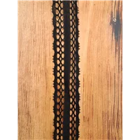 Lace Nylon 20mm Black 61524
