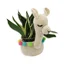 DIY Crochet Plant Holder Llama - photo 1