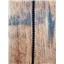 Braid Narrow TF TF 4