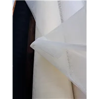 Net Crispy