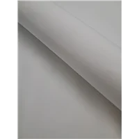 Athens Organic Poplin