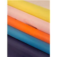 Parka Nylon