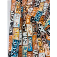 Fabric Canvas Print Licence Plates