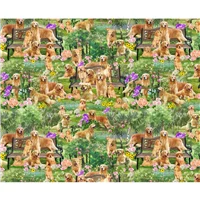 Animal Golden Retrievers Green
