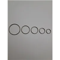 N 253 O Ring