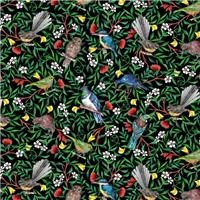 Kiwiana NZ Natives Birds Black 81260 102