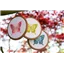 Vervaco Kit 178195 Set of 3 Butterflies with Hoops - photo 2