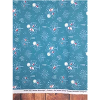 Christmas Winter Moonlight Robins and Owls