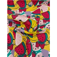 Fabric Canvas Watermelon