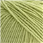Broadway Merino Dk 1018 Citrus