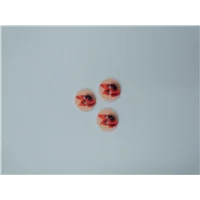 Button 63a 6457 24